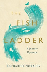 fish ladder