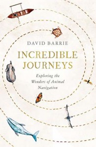 Incredible Journeys